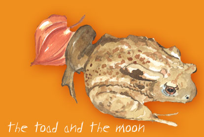 the toad and the moon
