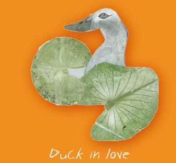 DuckIn Love